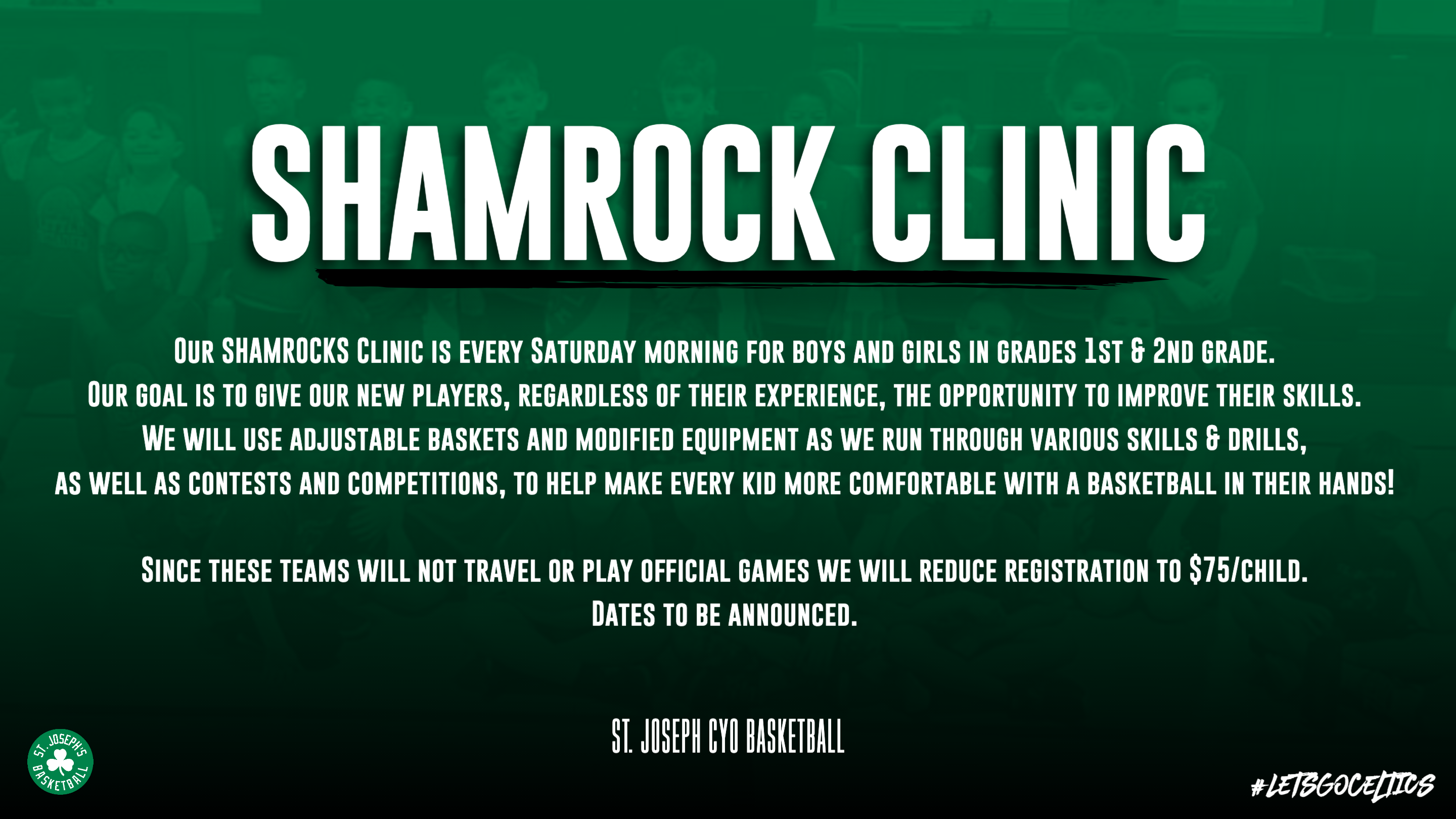 shamrock 385873 shamrock 385873