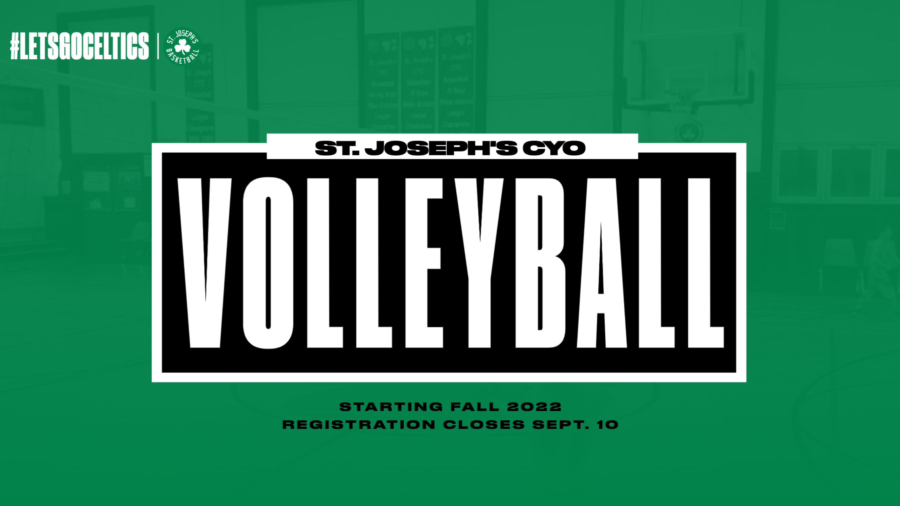 volleyball 1095754